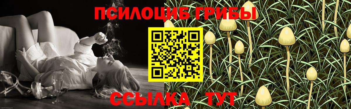 Псилоцибиновые грибы мицелий Можга