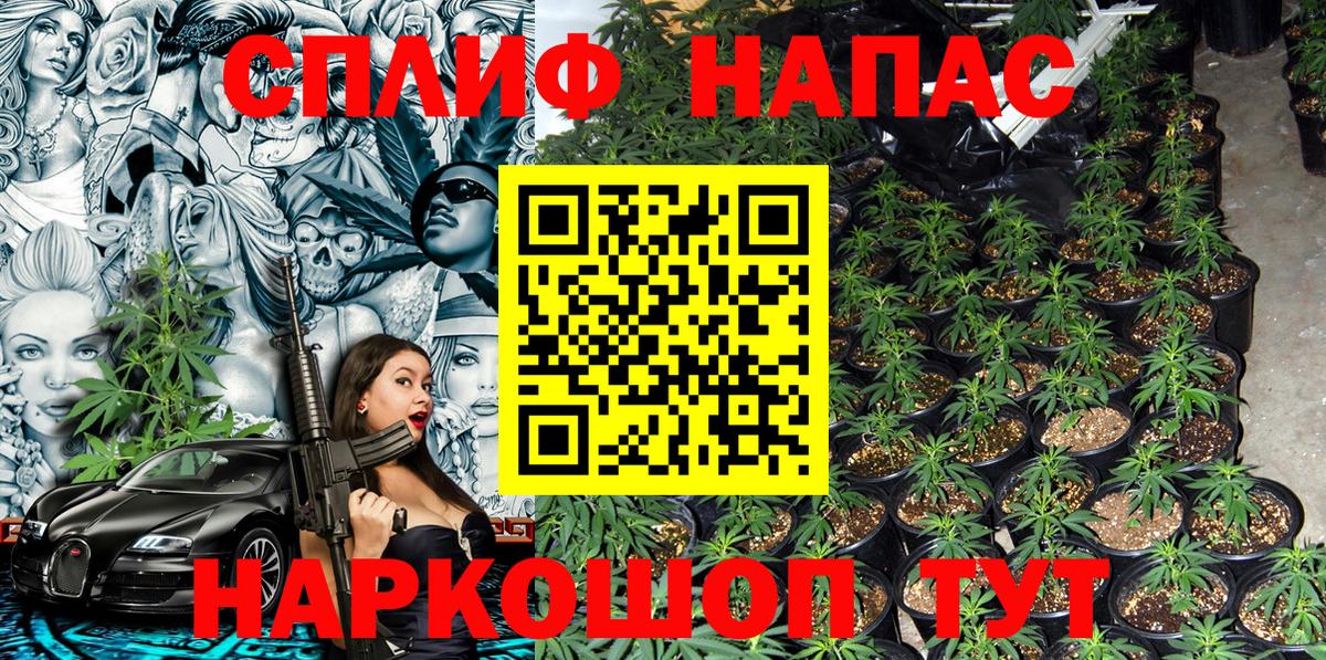 Шишки марихуана AK-47 Можга